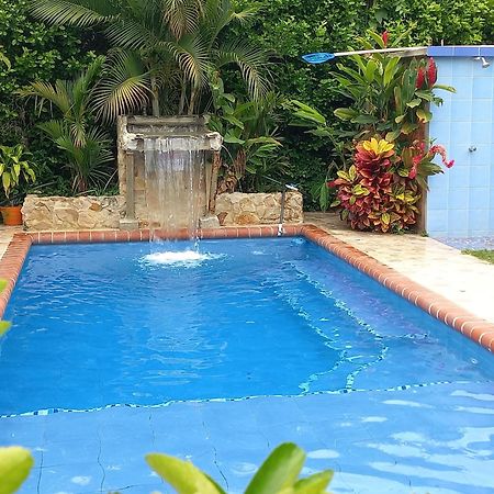 Las Orquideas Rozo Exterior foto